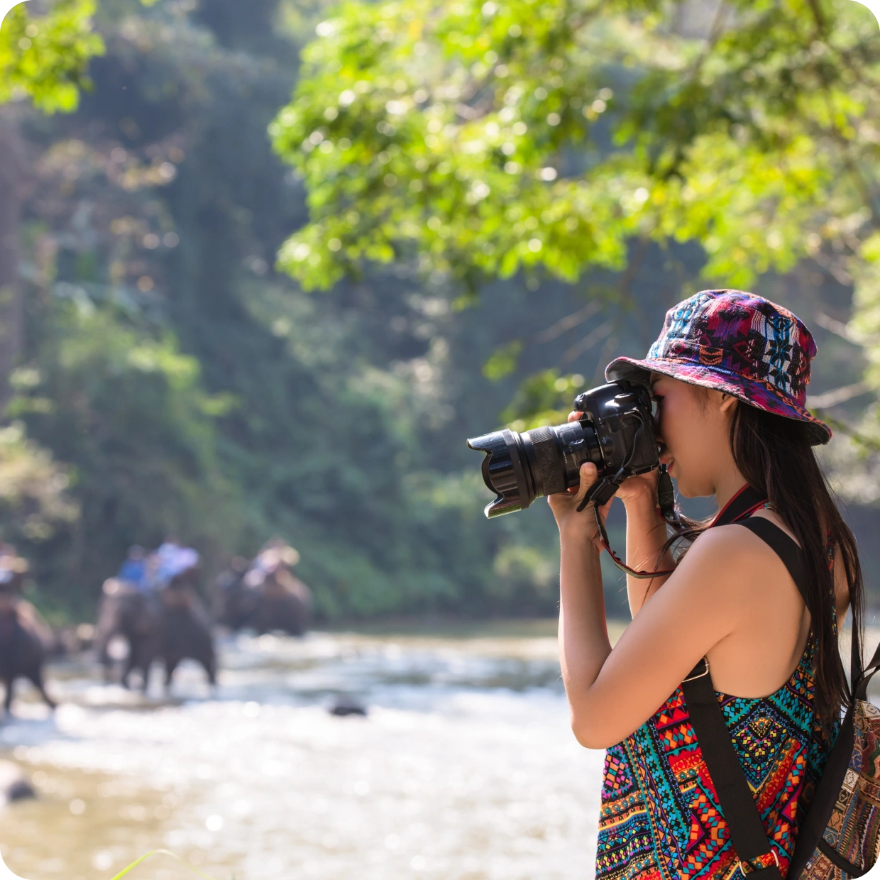 Sri Lanka Tour — hero image